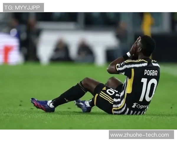 博格巴的足球之路：从天才少年到世界巨星的辉煌历程与挑战