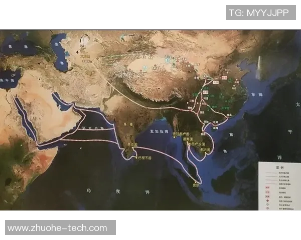 成都羽毛球队的转型之路：深度解析与未来展望